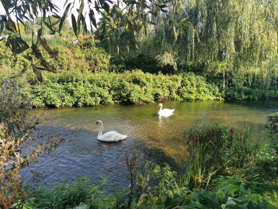 Lovely 2 Bed Annexe Near Salisbury Buitenkant foto